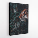 Tiger portrait - Canvas Art