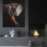 Lion gaze - Canvas Art