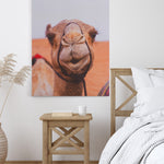Camel's smile - Canvas Art