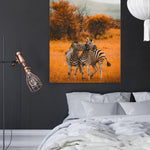 Zebras - Canvas Art