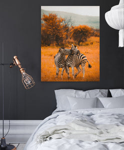 Zebras - Canvas Art
