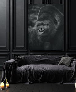 Gorilla  - Canvas Art