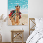 Cool camel - Canvas Art