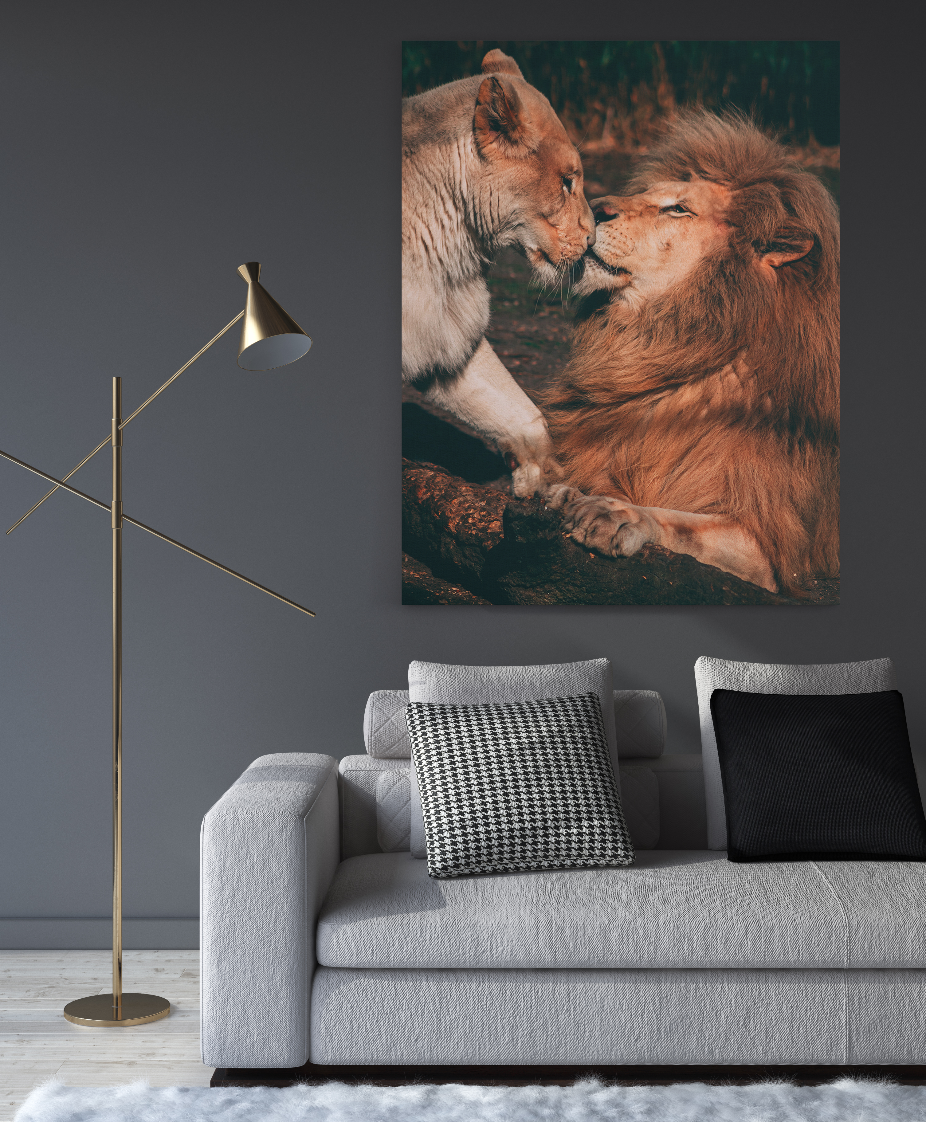 Lion love - Canvas Art
