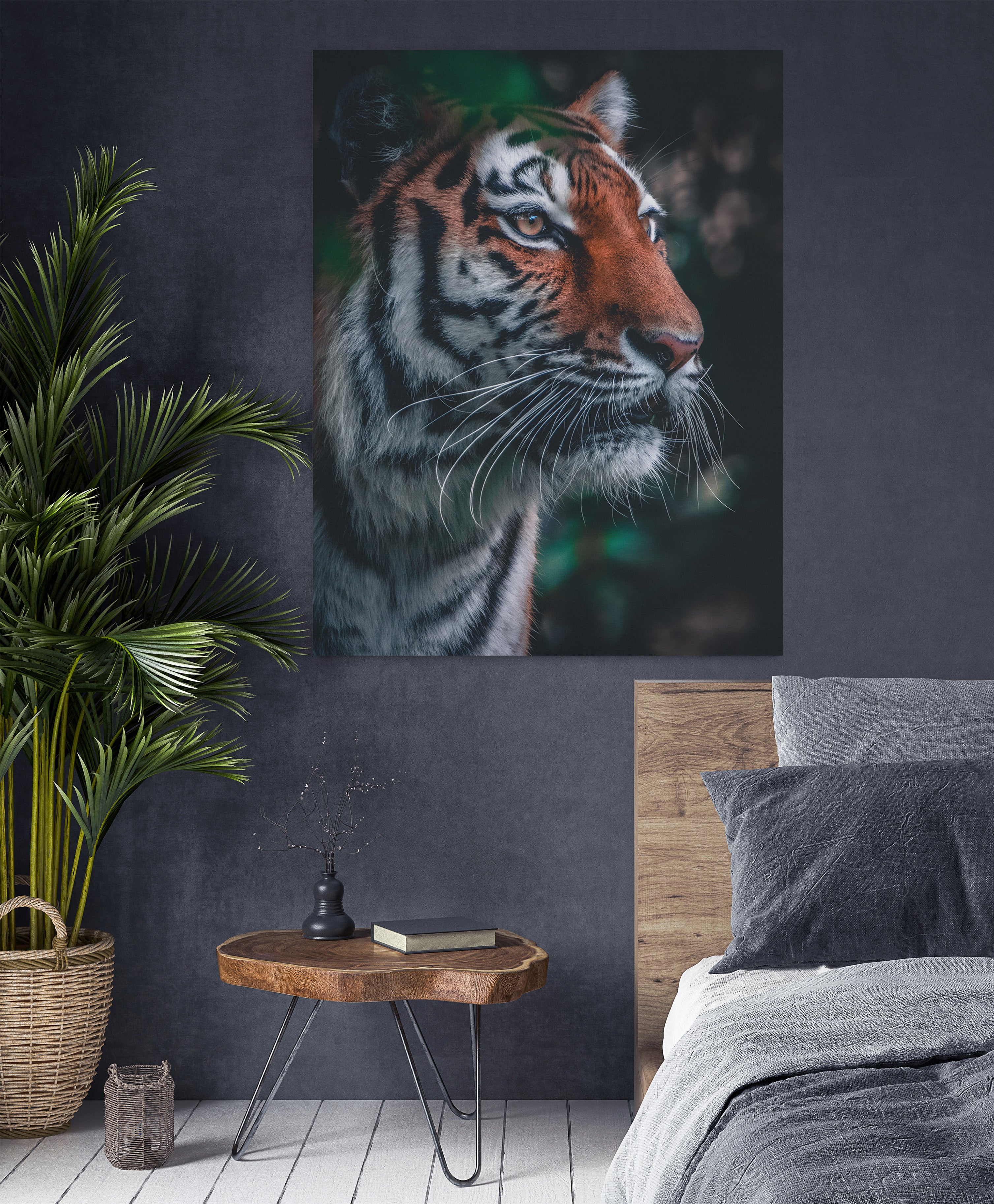 Tiger - Canvas Art
