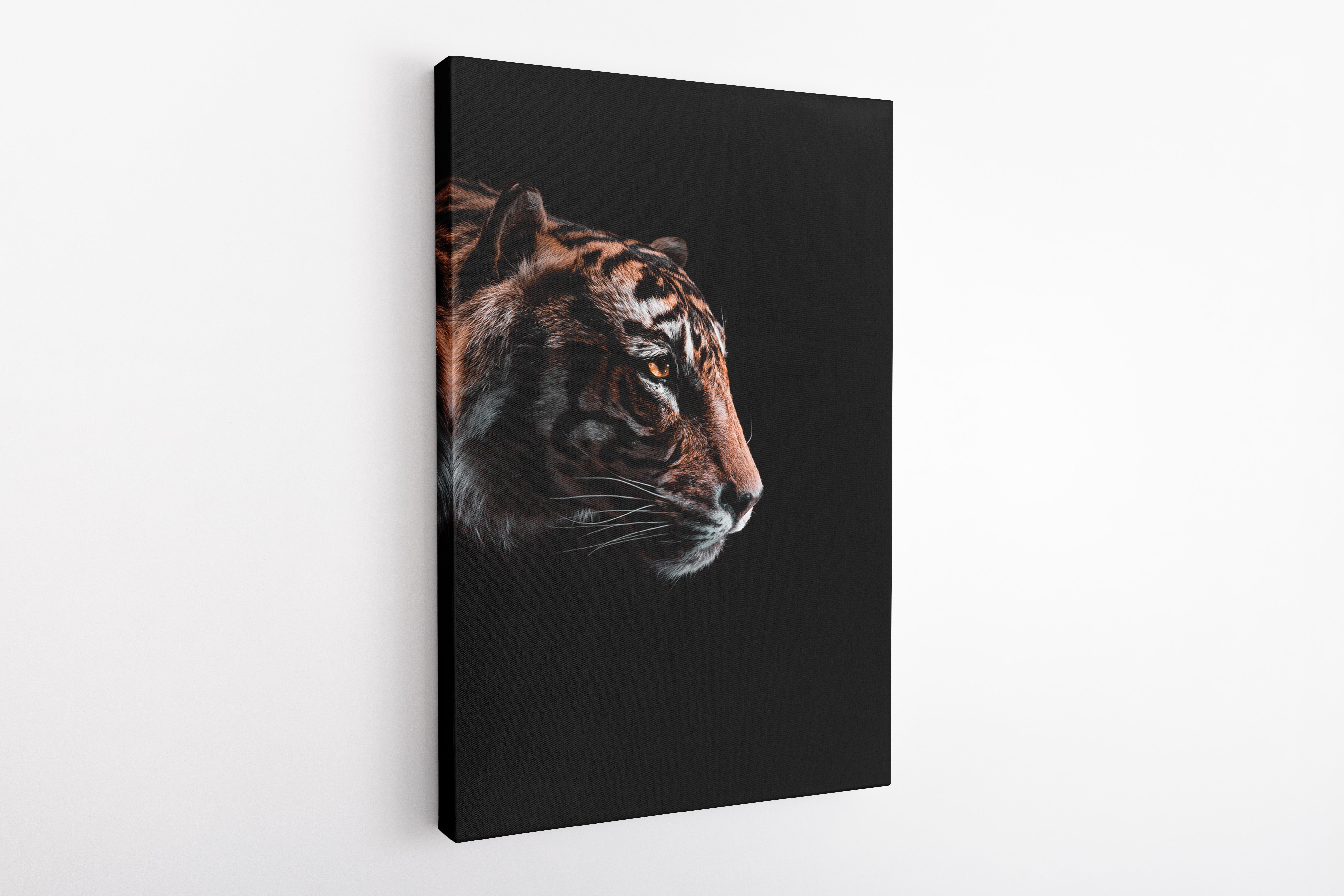Tiger on black - Canvas Art