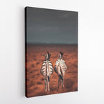 Zebra pair  - Canvas Art