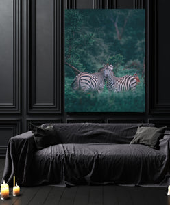 Zebra love  - Canvas Art