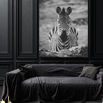 Zebra portrait - Canvas Art