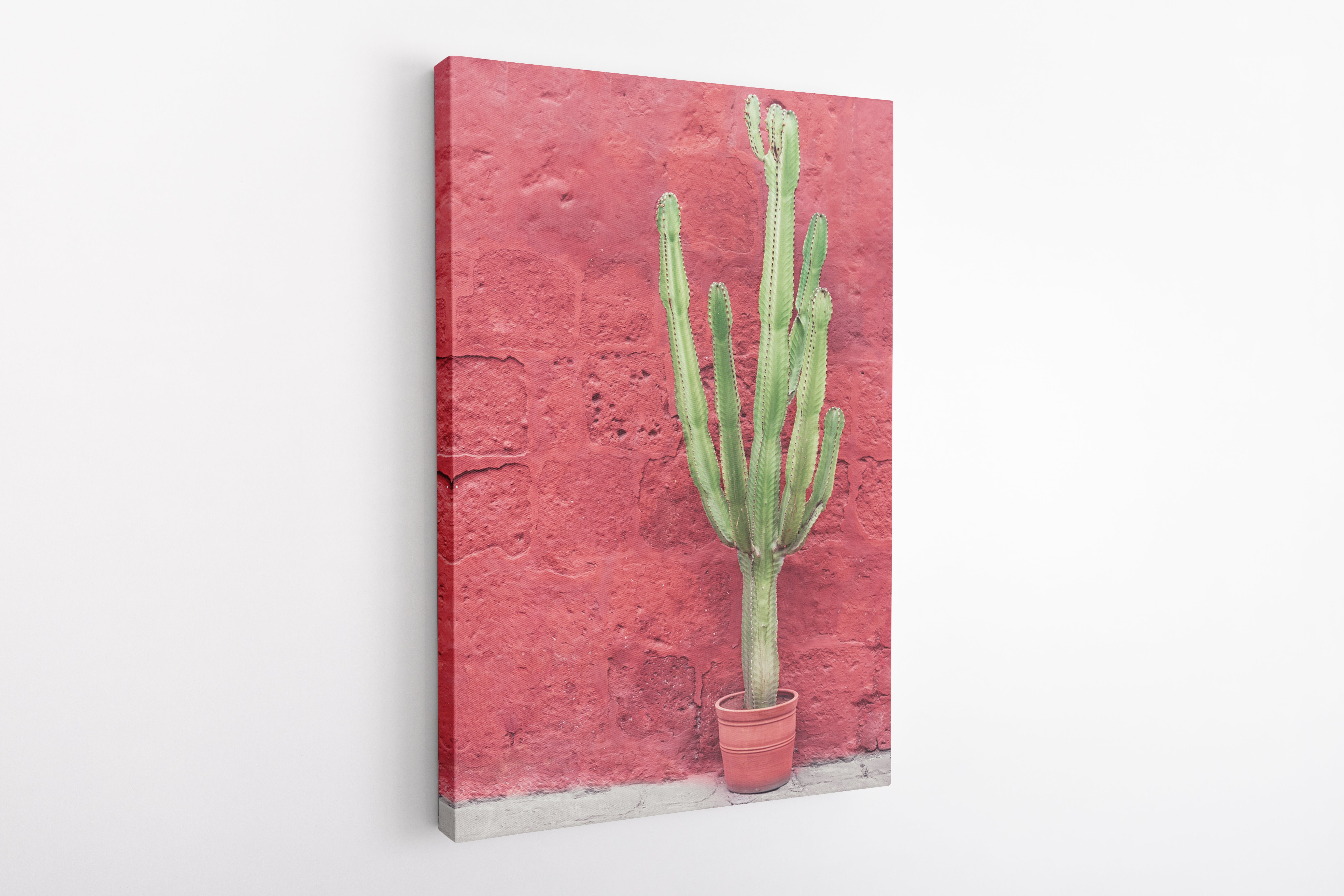Green cactus and pink wall - Canvas Art