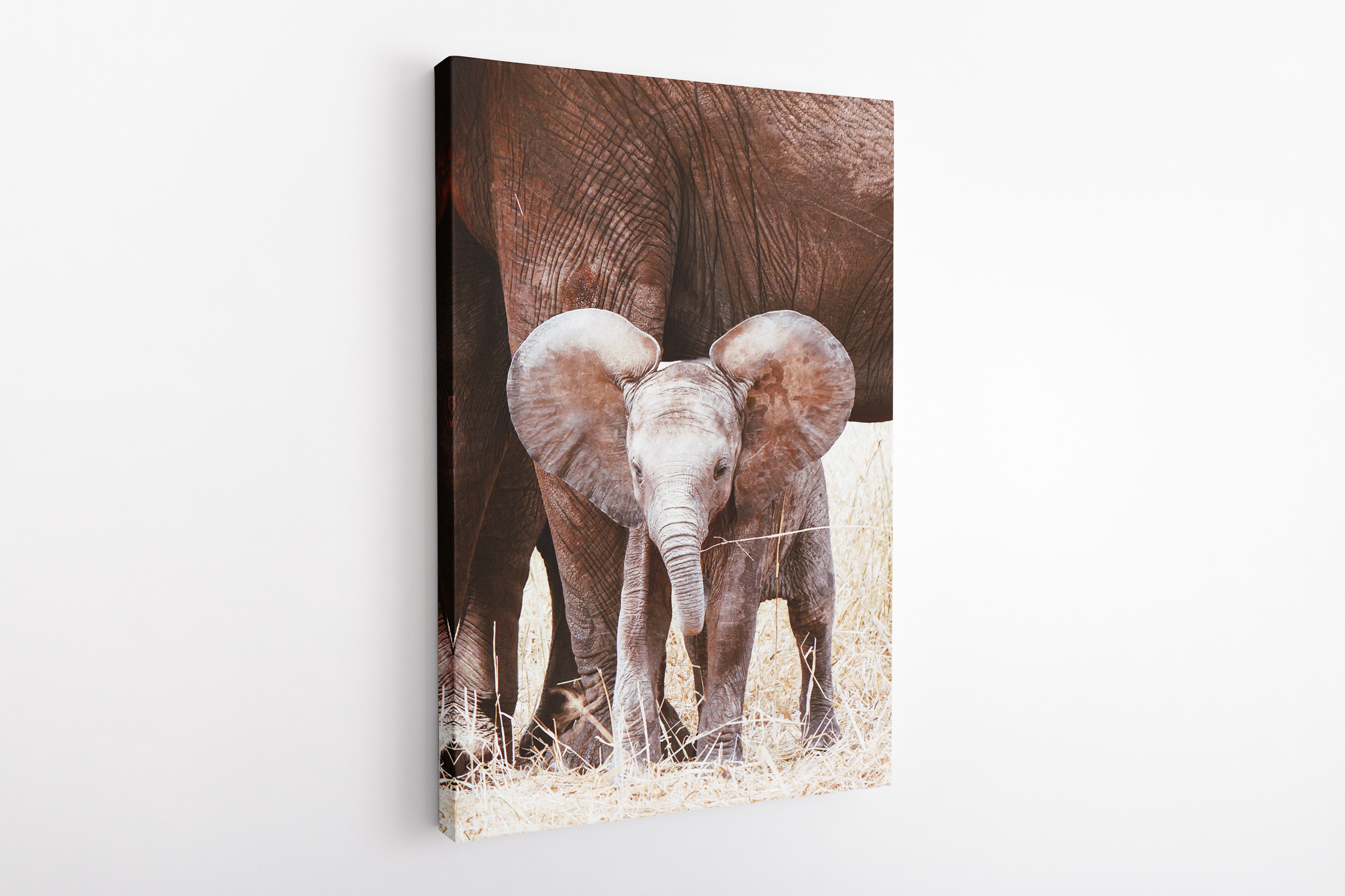 Baby elephant: "Calf" - Canvas Art