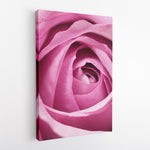 Pink rose - Canvas Art