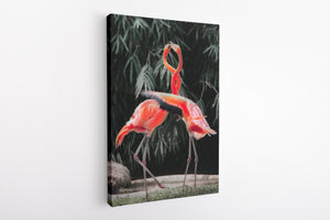 Flamingos - Canvas Art